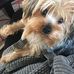 Rosa Vickers - Facebook
