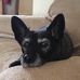 Rosa Vickers - Facebook