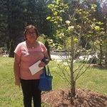 Rosa Vigil - @rosa.vigil.5205 - Instagram