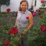 Rosa Vigil - @rosa.vigil.7543 - Instagram