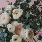 White Rosa - Facebook