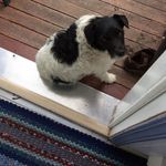 Rosa Waldner - @rosawaldner58 - Instagram