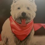 Rose Waldner - @glenda_waldner_ - Instagram