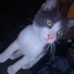 Rose Waldner - @rose_waldner - Instagram