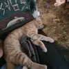 Rose l Walker - @rose.l.walker - TikTok