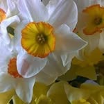 Rosa Weaver - @rosaweaver5 - Instagram