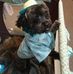 Rosa Weeks - Facebook