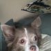 Rosa Westbrook - Facebook