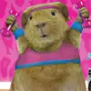 rosanneweston - @rosanneweston - TikTok