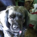 Rosa Willis - @rosa.willis.1690 - Instagram