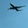 rosa_willis - @rosa_willis - TikTok