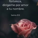 @rosalia.cuevas56 - Instagram