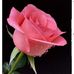 Rosalia Cuevas - Facebook
