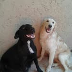 Rosalia Herrera - @rosalia.herrera.75098364 - Instagram