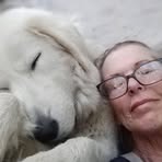 Rosalind Boyd - Facebook