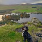 Rosalind Boyd - Facebook