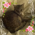 Rosalind Ebert - Facebook