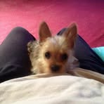 Rosalind Eldridge - Facebook