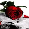Rosalind Freeman - @rosalind.freeman - TikTok