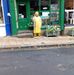 Rosalind Fox - Facebook