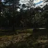 rosalindagee - @rosalindagee - TikTok