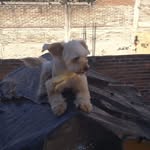 Jose Juan Perez - @hoganrosalind_106 - Instagram