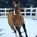 Rosalind Racher-Kirk - @racherkirk - Instagram