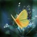 Rosalind Ryan Ryan - Facebook