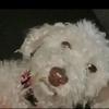 rosalinda - @rosalinda674 - TikTok