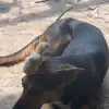 Rosalio Sánchez - @rosalio.snchez77 - TikTok