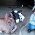 Rosalio Sanchez - Facebook