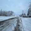 blakerosalyn - @blakerosalyn - TikTok
