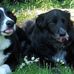 Roslyn Cameron - Facebook