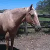 Roslyn Dunn - @roslyn.dunn - TikTok