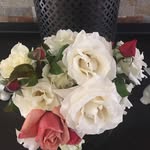 Roslyn Maxwell - @rosmaxwell5 - Instagram