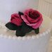 Roslyn Maxwell - Facebook
