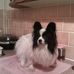 Rosalyn Moss - Facebook