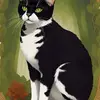 tracyerosalynf - @tracyerosalynf - TikTok
