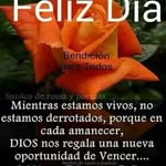 Rosamaria Torres - @rosamaria.torres.9026 - Instagram