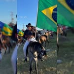 Rosana Araujo Rocha - @rosanna_rochaa - Instagram