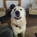 Rosanna Schmidt - Facebook
