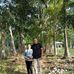 Rosanna Torres - Facebook