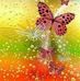 Rosanna Torres - Facebook
