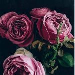 Roseanne Pyle - @rose_pyle - Instagram