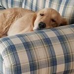Rosanne Schmidt Osborne - @rosanneschmidtosborne - Instagram