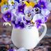 Rosanne Weber - Facebook