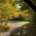 Rosanne Williams - @rwms.1 - Instagram
