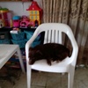 Gabi - @rosariopaternostro - TikTok