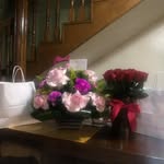 Rosario Quezada - @rosario.quezada.543 - Instagram