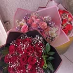 Rosaura Camacho - @rosaura.camacho.257231 - Instagram